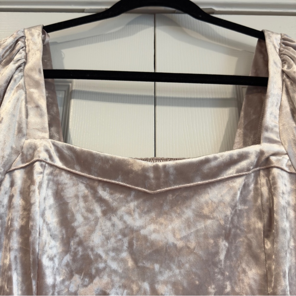 By Anthropologie Crushed Velvet Long Sleeve Blouse Top Women Size L Champagne - Picture 7 of 13